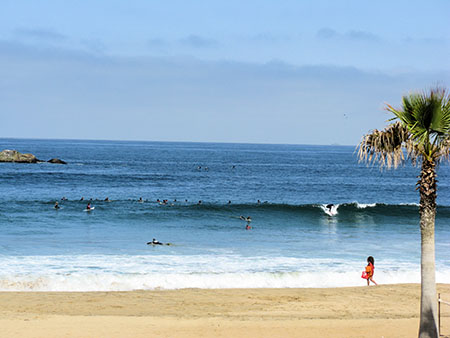 Reñaca beach