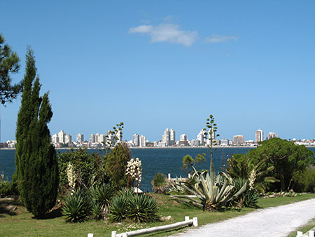 Punta del Este as seen from Isla Gorriti, just offshore