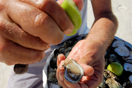 Beach vendors offer fresh oysters right from the sea