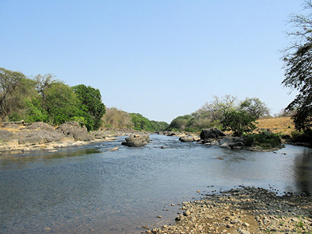 One of several backup water supplies at the Simply Natural Plantation