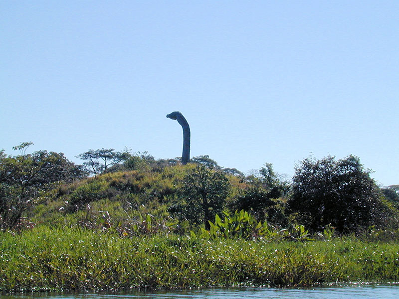 Las Isletas are noted for their unusual wildlife