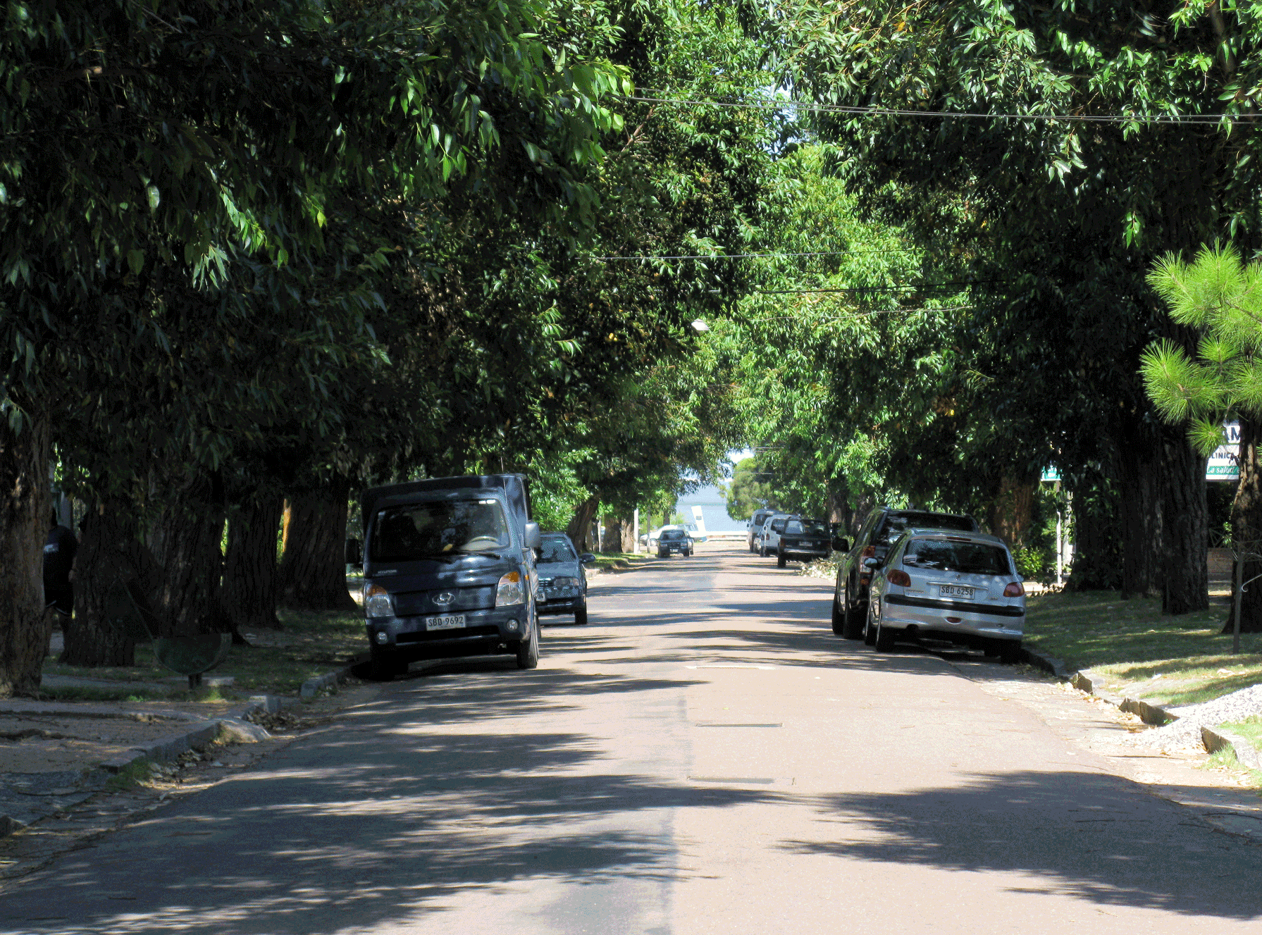 Clean, tree-lined streets lead right to the water's edge