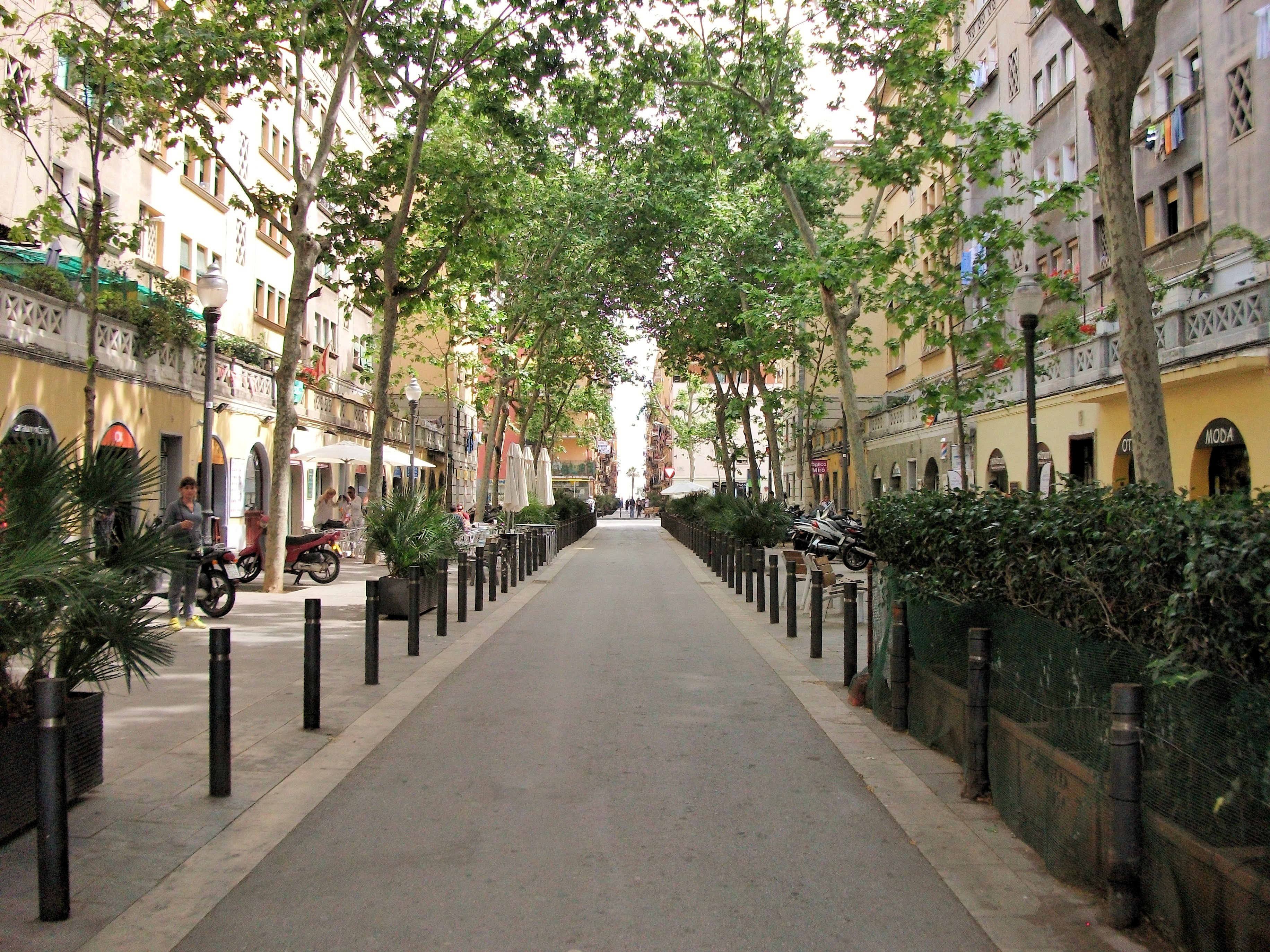 The Barceloneta sector, and examples of the contentious tourist apartments