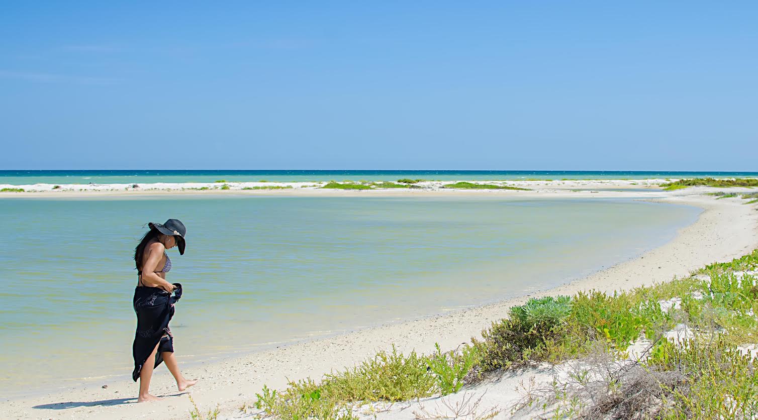 This beach met most of Mandy’s criteria, including calm waters and beach grass