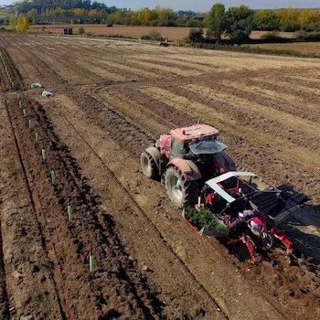 A red tractor on a plot of land