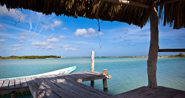 Photo near the author’s home on the Mexican Caribbean