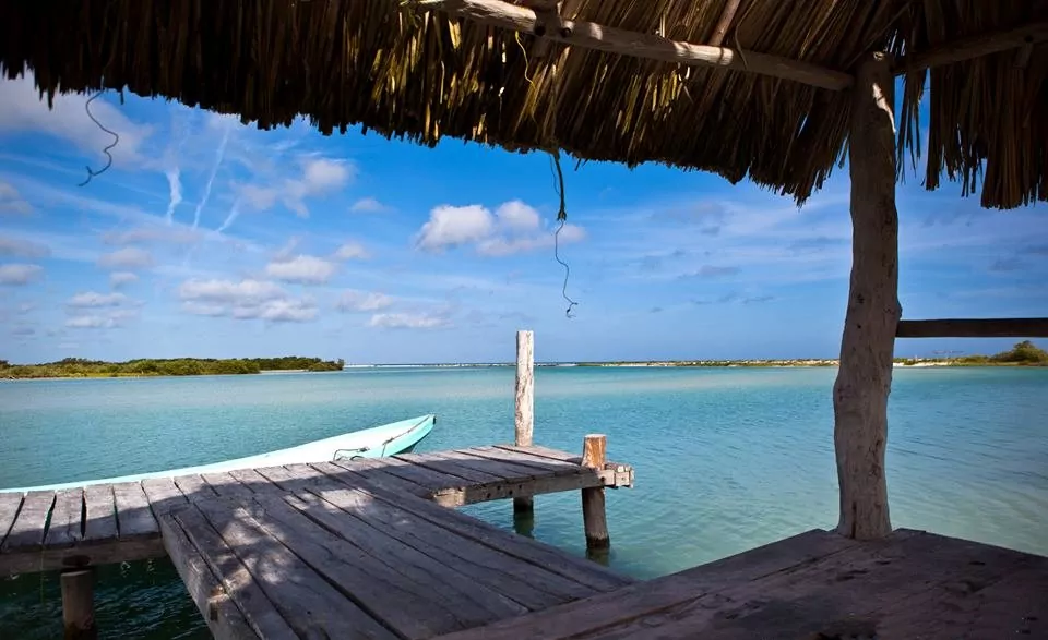 Photo near the author’s home on the Mexican Caribbean