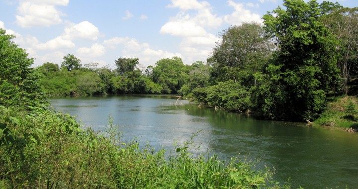 belize river carmelita