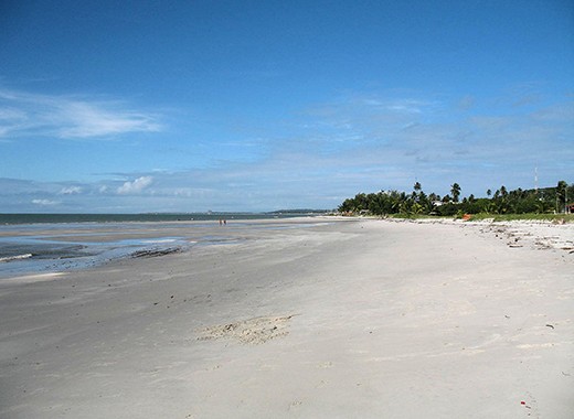 Beach looking North