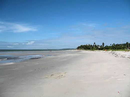 Beach looking North