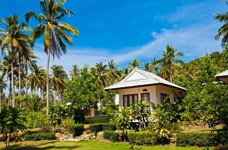 Tropical white beach house surrounded by palm trees on the island Koh Kood, Thailand.