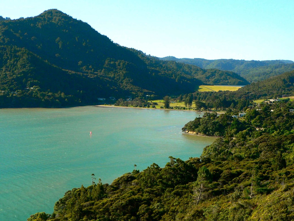 fish in New Zealand