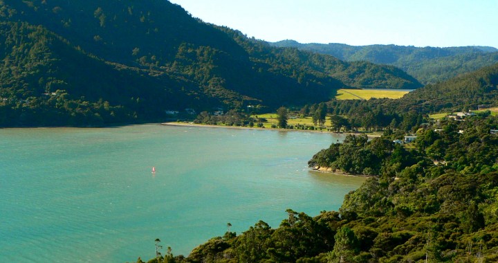 fish in New Zealand