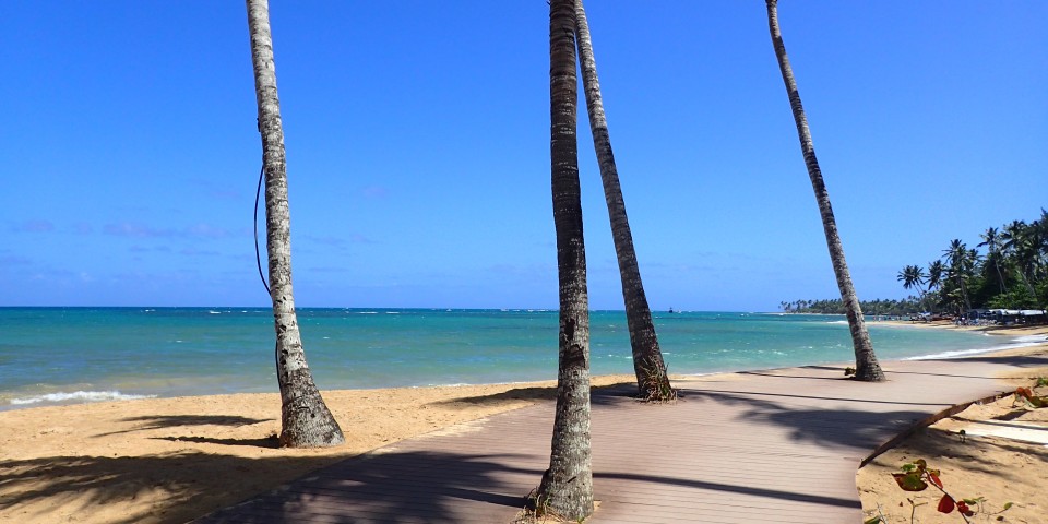 A typical day on Playa Las Ballenas