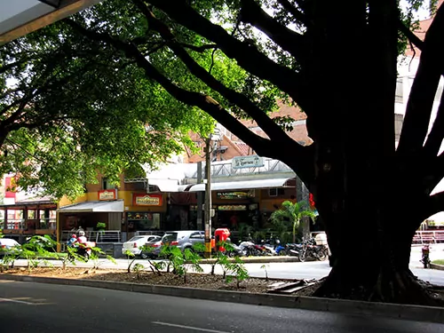 Shady Laureles is Medellín’s second most-affluent sector