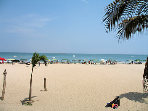 The North American winter brings warm sunshine to the wide beaches of Salinas