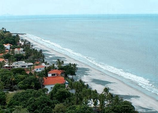 bird's eye view of Coronado Beach with beachfront homes and lush trees