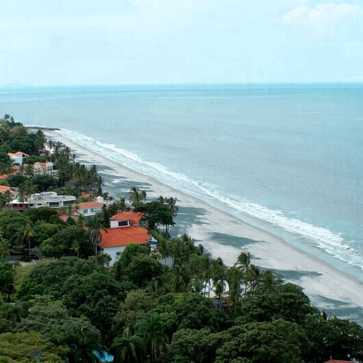 bird's eye view of Coronado Beach with beachfront homes and lush trees