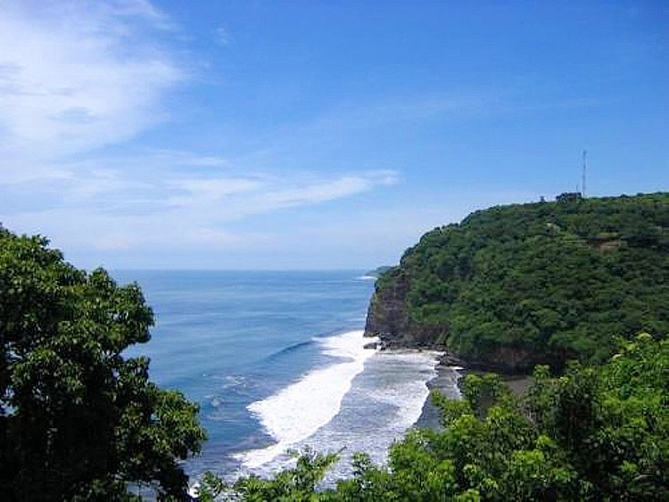 Aerial view of lush trees lining a black sand beach