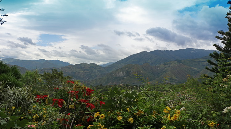 Green landscape near Vilcabamba in Ecuador