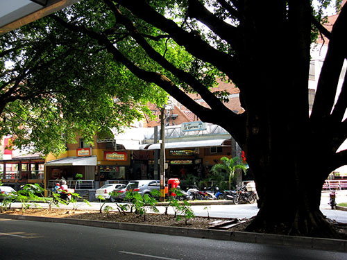 Laureles Shady Streets