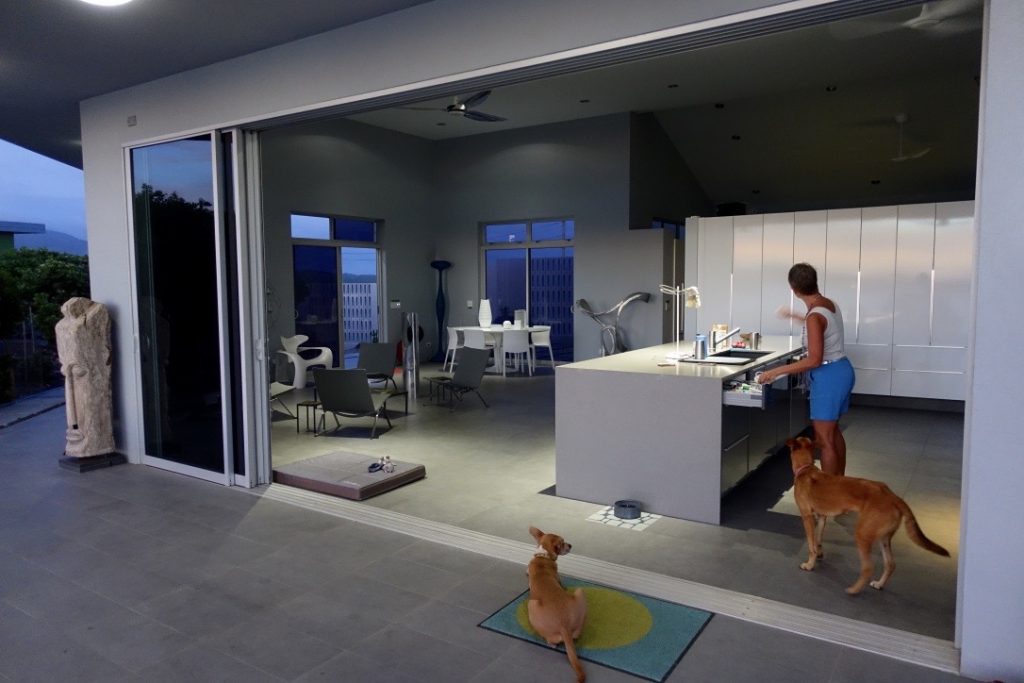 Deb in kitchen with her dogs in Grenada