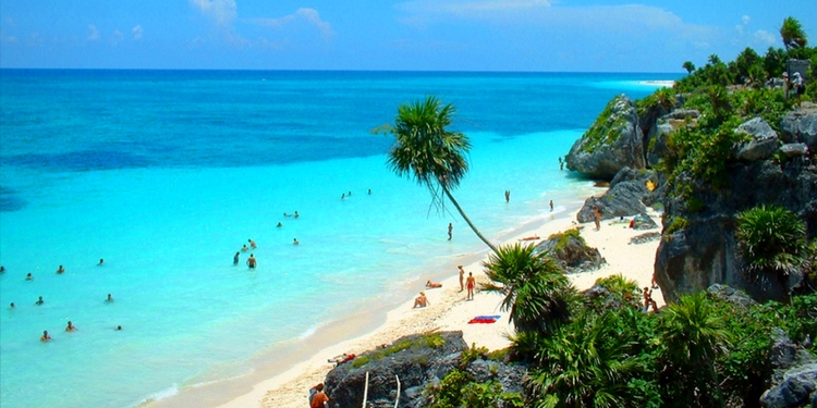 mexico riviera maya beach with palm trees and clear blue waters