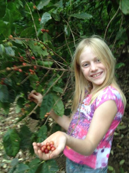 girl holds edible coffee beans