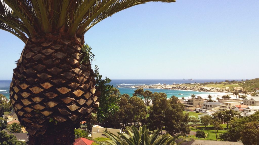 residential agricultural properties. picture of a pineapple in the foreground. the background is a tropical country with a blue sea