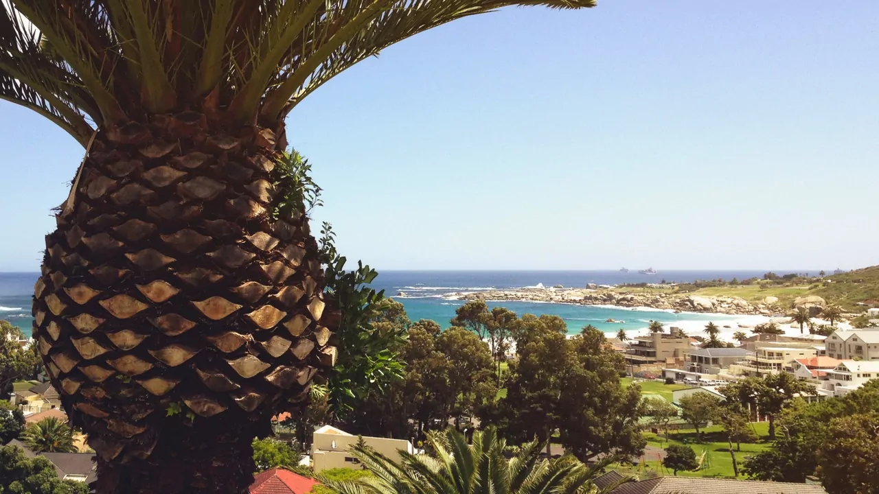 residential agricultural properties. picture of a pineapple in the foreground. the background is a tropical country with a blue sea