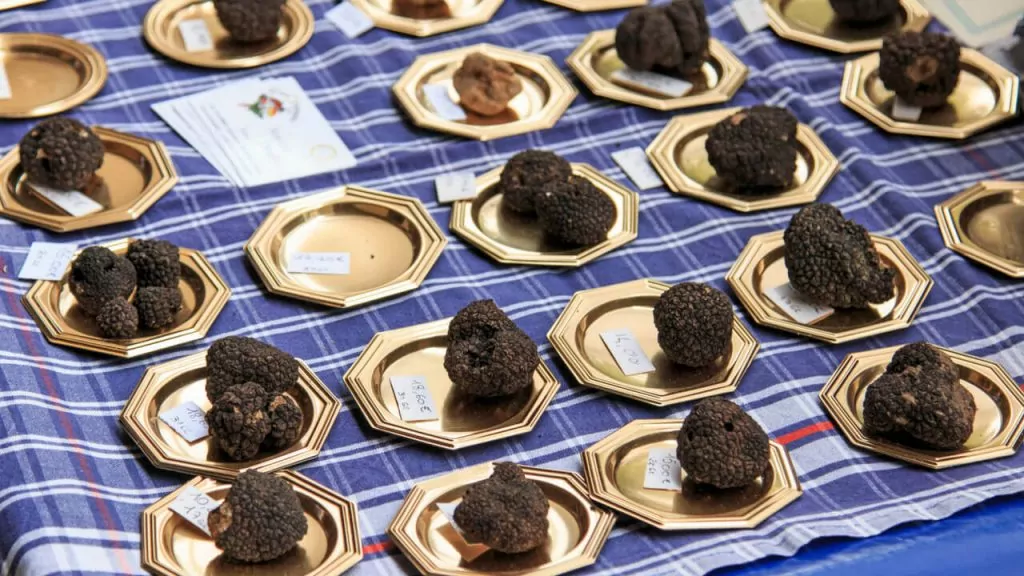 black truffles on gold plates