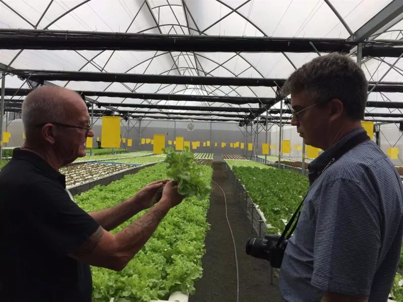 thailand hydroponics