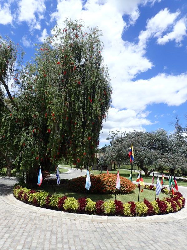 A flag is planted for each of the 18 countries currently represented in the community 