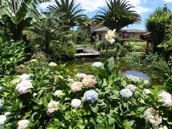 hydrangea pool