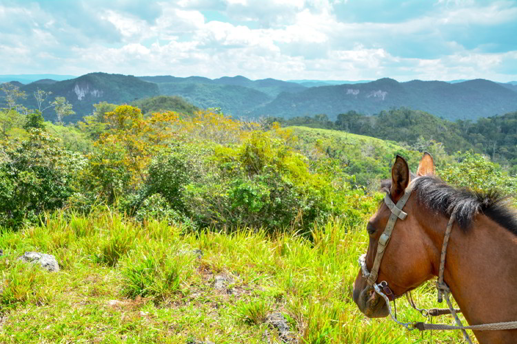 Scene of lush hazy forested limestone hills in Cayo, Belize