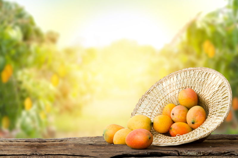 Fresh mangos in a hat