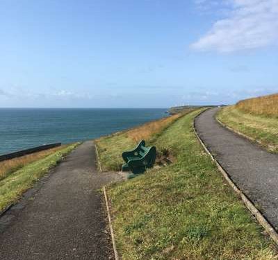 Doneraile bench looking out to sea