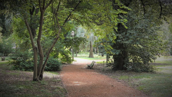 A park in Palermo, Argentina