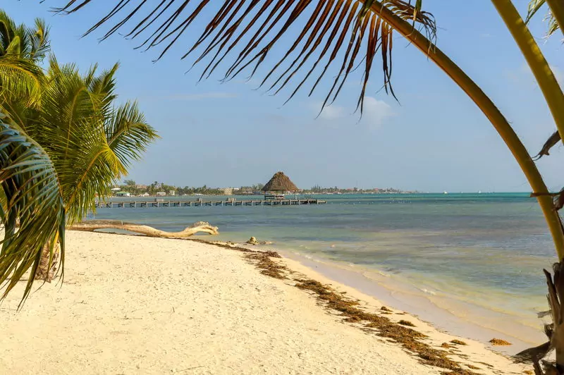 beach at ambergris caye in belize