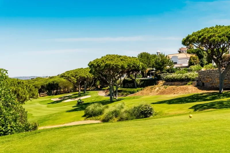 Beautiful golf course among pine trees in Algarve, south Portugal.