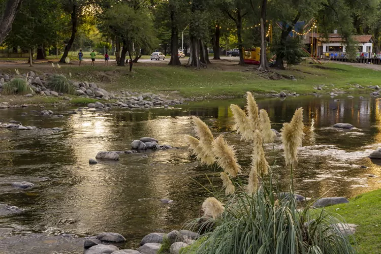 Grass against flowing river during summer season in Cordoba, Argentina