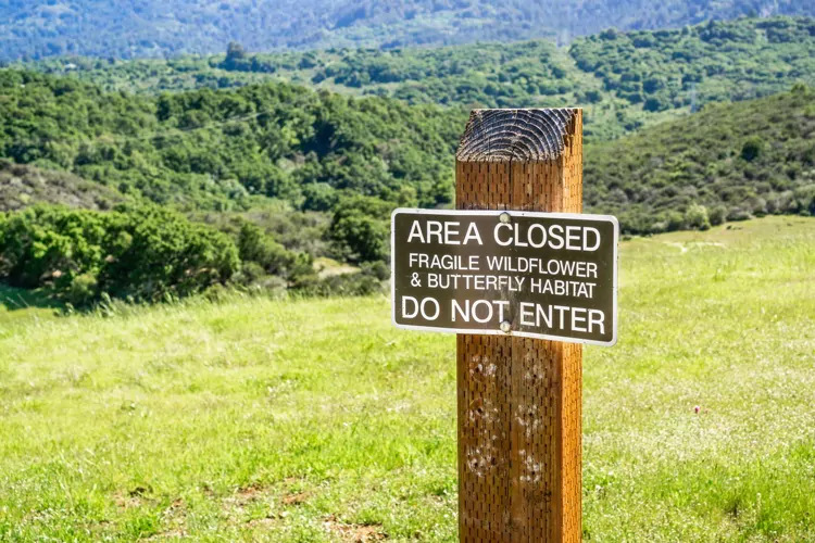 Area closed Fragile Wildflower & Butterfly Habitat sign