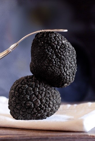 Two black truffles