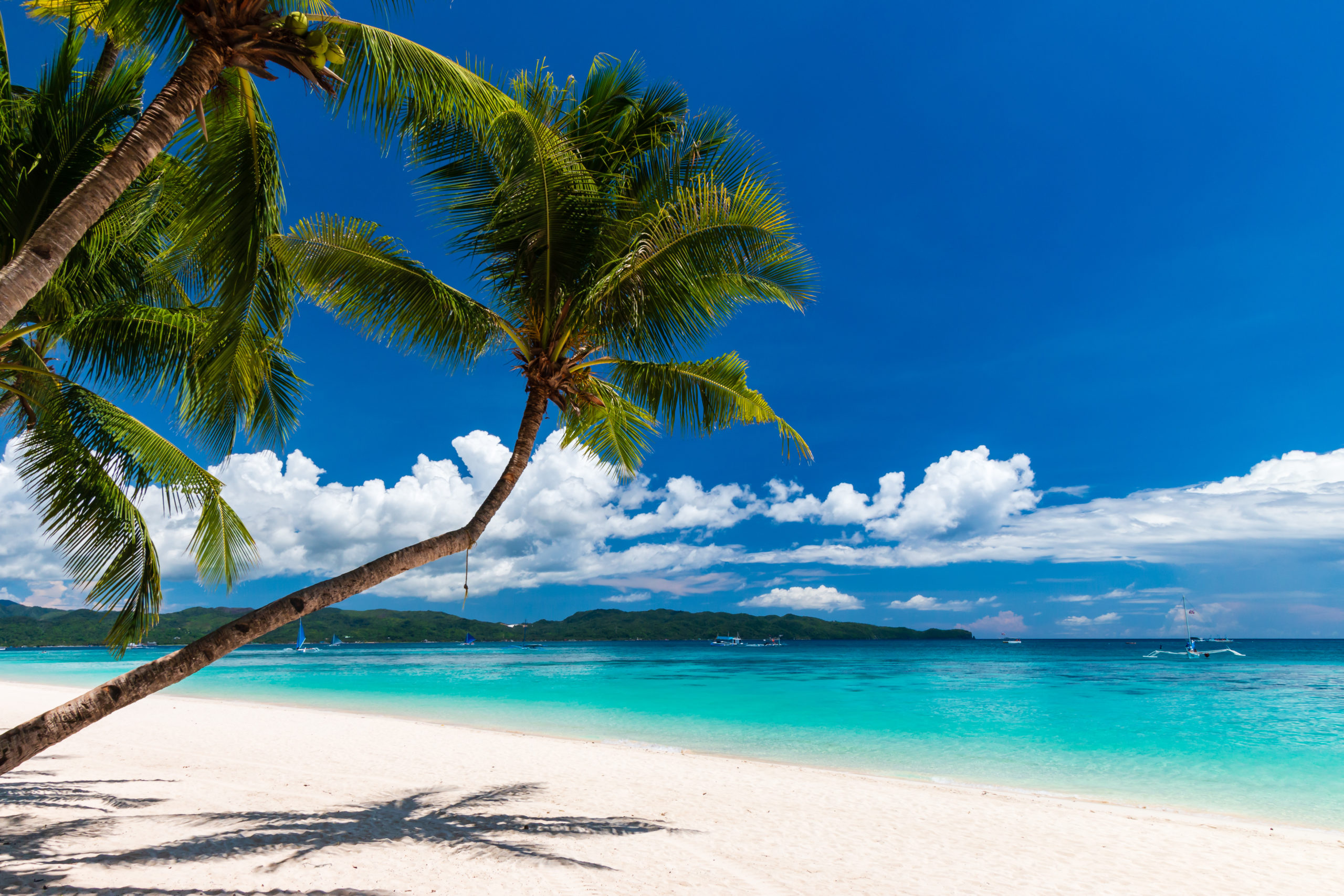 A beautiful tropical beach with palm trees and shallow waters