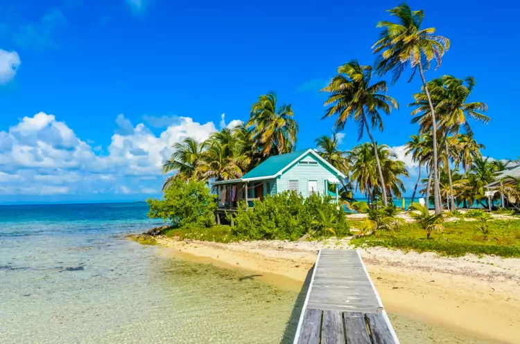 Paradise beach on island Caye Carrie Bow Cay Field Station, Belize. 