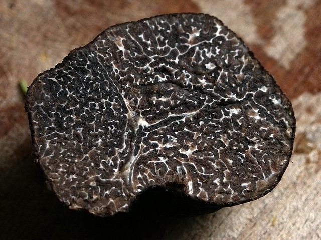 Close up of a black truffle