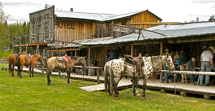 Horses in a stable in Canada