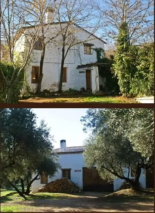 Houses in the Village Complex in Jaén, Spain