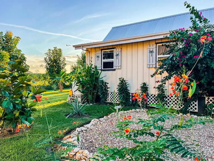 A Carmelita Gardens house and garden