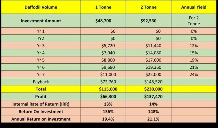 Daffodils investment ROI table